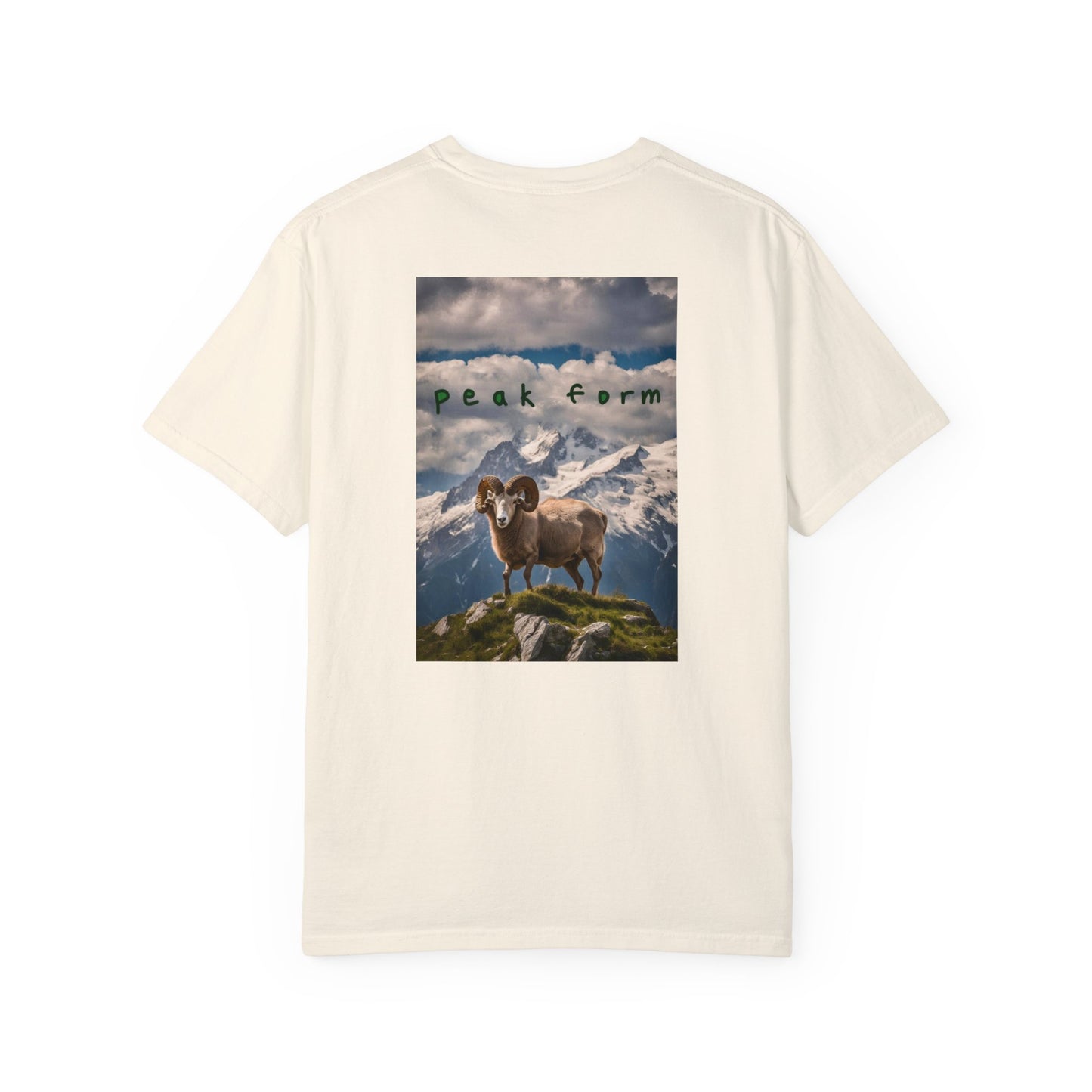 Peak Form Unisex T-shirt